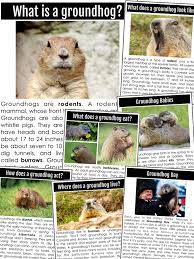We may earn commission on some of the items you choose to buy. Groundhog Day Read Alouds And Activities True Life I M A Teacher