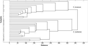 Vitamin e is a compound that plays many important roles in your body and provides multiple health benefits. Automatic Authentication And Distinction Of Epimedium Koreanum And Epimedium Wushanense With Hplc Fingerprint Analysis Assisted By Pattern Recognition Techniques Sciencedirect