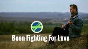 Taylor Swift Look What You Made Me Do перевод Been Fighting For Love Kalle Engstrom Bestmusic24 Fight Pop Music Love