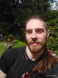 What could have caused the death of a gold finch fledgling?