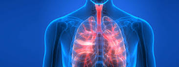 Bei der diagnose einer herzmuskelentzündung kommen verschiedene untersuchungsmethoden aufgrund der unspezifischen symptome ist die diagnose myokarditis nicht immer einfach zu stellen. Pneumologische Erkrankungen Marienhospital Stuttgart