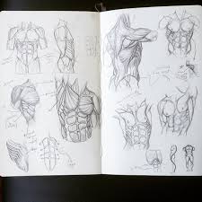Learn the basics of body anatomy drawing in this tutorial. Greg Opalinski Torso Anatomy Drawing Anatomy Muscles