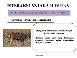 Walaupun keadaan yang teruk, sesetengah haiwan berkembang pesat di iklim padang pasir yang panas dan kering. Mudahnya Sains Upsr Posts Facebook