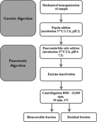 We did not find results for: In Vitro Digestion An Overview Sciencedirect Topics