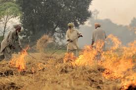 Paving Over The Silk Road Stubble Pollution Improve Soil Quality