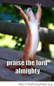 Pin On Funny Pictures