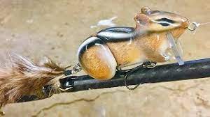 The first natural bait appearing on the list today, nb bait is a 100% safe and humane way of attracting chipmunks to a trap. Making A Chipmunk Lure Youtube