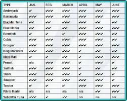 Islamorada Fishing Seasons Florida Keys Fish Continually