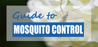 White vinegar can remove oobleck out of carpet, while apple cider vinegar is a great pest killer. How To Get Rid Of Mosquito Larvae In Ponds Methods Compared Pond Informer
