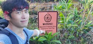 Kalalau trail parking break-ins reported