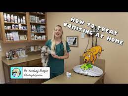 Melony on september 15, 2016: My Dog Is Throwing Up White Foam Do I Need To Worry Caninejournal Com