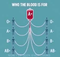 blood type chart and compatibility gif