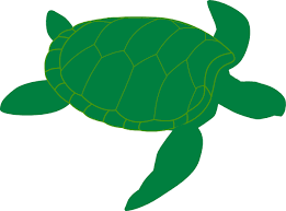 Turtle Vector Png Turtle Png Image And Clipart Dinosaur Stuffed Animal Turtle Png Images