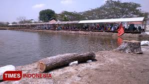 Pengunjung bisa puas bermain di tempat ini dengan aman dan nyaman. Setelah Kapal Pesiar Desa Randuboto Gresik Buka Wisata Pemancingan Times Indonesia