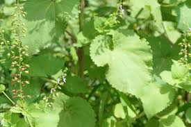 Image result for Equilabium