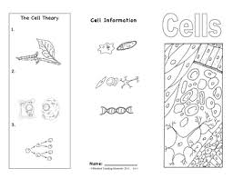 Explore animal and plant cells with this extensive lesson pack. Plant And Animal Cells Brochure Ce 1 Plant And Animal Cells Animal Cell Science Cells
