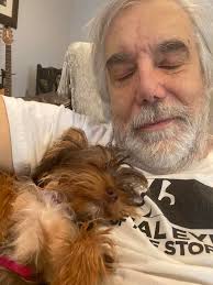 Our 3 Yorkies : Papi, Dusty and Olive. 24/7 cuteness and entertainment.