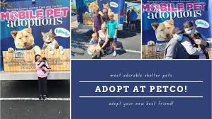 Maybe you would like to learn more about one of these? Petco Adoption Event In Phoenix 4535 E Thomas Rd Phoenix Az 85018 7614 United States 12 June 2021