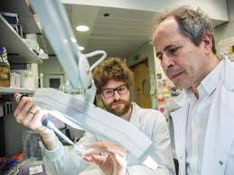 During the last years we have developed. Virologo Crisanti Coronavirus Sottovalutato I Numeri Di Contagi Sono Inesatti Corriere It