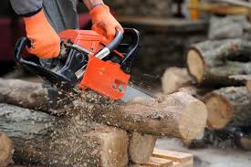 Leaf blower, handheld blower, edger, bed redefiner, power pruner 5 Best Petrol Chainsaws For Powerful Cutting Horticulture