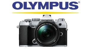 Nikon S 2019 Mirrorless Shipments Lag Behind Sony Fujifilm And Olympus