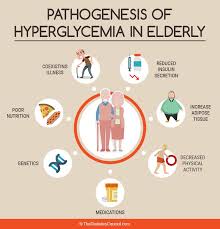 The Elderly And Diabetes Everything You Need To Know
