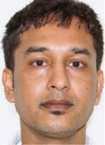 Stehen bewirtschaftete Honigbienen und einheimische Wildbienen in  Konkurrenz um Ressourcen?