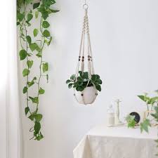 Para la decoración de balcones no necesitás de objetos muy costosos o llamativos. Las 12 Mejores Plantas Colgantes Y Como Cuidarlas