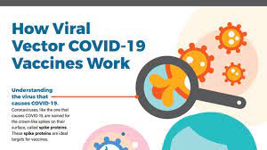 Although one should not get the vaccine. Understanding Viral Vector Covid 19 Vaccines Cdc