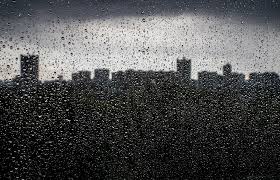 O ministério acrescenta que a queda de granizo e chuva são riscos cobertos pelos seguros agrícolas, que o estado financia a 60 por cento, o que significa que há mais de 11. Chuva Intensa E Granizo Causam Inundacoes E Quedas De Arvore Em Vila Real Renascenca