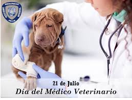 Departamento oncología básico clínica universidad de chile. Dsi Luz Ar Twitter Feliz Dia Del Medico Veterinario Fcvluz Profesionales Que Brindan Armonia Y Bienestar A Los Animales
