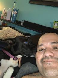 Is the Levy toy being rehomed?