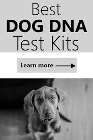 Pin On Dogs Paws Cats Claws