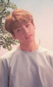 Jungkook Love Yourself 承 Her Photocard Version O Jungkook Bts Jungkook Bts