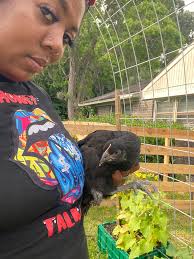 May be a dumb question but we are at day 20… what should we be expecting?!  I'm not hearing any chirping yet lol will that happen soon?