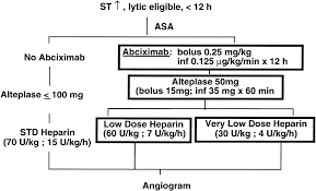 abciximab facilitates the rate and extent of thrombolysis