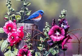 Blue Birds With Colorful Flowers Birds Animals Background Wallpapers On Desktop Nexus Image 1302013
