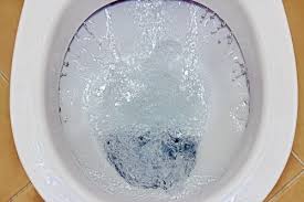 While embarrassing for some, the flushing noise is something we all deal with. What Is Causing The Vibrating Sounds When I Flush My Toilet Plumbing By Jake