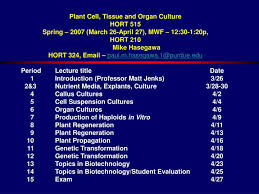 Maybe you would like to learn more about one of these? Ppt Plant Cell Tissue And Organ Culture Hort 515 Spring 2007 March 26 April 27 Mwf 12 30 1 20p Hort 210 Mike Has Powerpoint Presentation Id 370449