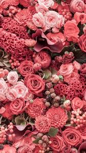 Pin On Flowers