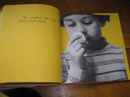 Vintage to Now Lot of 2 JOHNNY's EGG by Earlene Long 1st Printing & WHAT IS  A WA 9780201041538| eBay