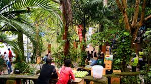 Последние твиты от goose green festival (@goosegreenfest). True Africa Nyege Nyege Festival 2017 Uganda