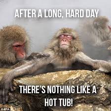 Thermospas Designer Series Hot Tubs Thermospas Hot Tubs Monkey Pictures Monkeys Funny Cute Animals