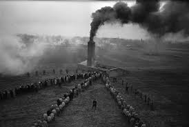 Image result for holocaust photos