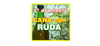 Para preparar la caña con ruda por lo general se usa la ruda macho, que tiene las hojas más anchas, porque se le atribuyen mayores propiedades y un aroma más intenso. Cana Con Ruda Receta 1Âº Agosto Ingredientes