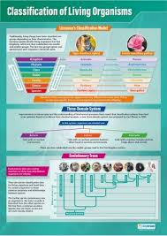 Classification Of Living Organisms Poster Biology Lessons Gcse Science 6th Grade Science