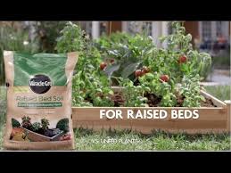We did not find results for: Miracle Grow Soil Coupon 09 2021
