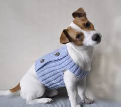 Hundepullover Stricken 42 Warme Ideen Strickanleitung Diy Zenideen Hundepullover Stricken Hunde Pullover Hundepullover