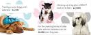 Compare dog insurance - Pet Insurance Review