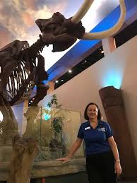 Bishop Museum Of Science And Nature Hours Priscilla The Mastodon Is My Wow Through The Children That Come To The Museum When They Come Through That Door They Are So Science And Nature Museum Nature